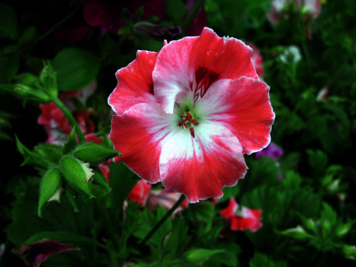 1054499 (a): :2560x1920